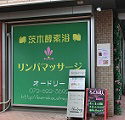 スタッフ写真
